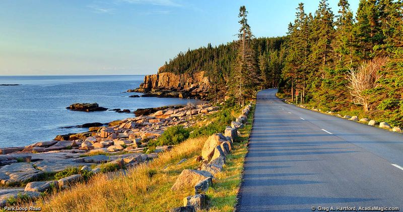 Drive the Scenic Park Loop Road for Unforgettable Coastal Views