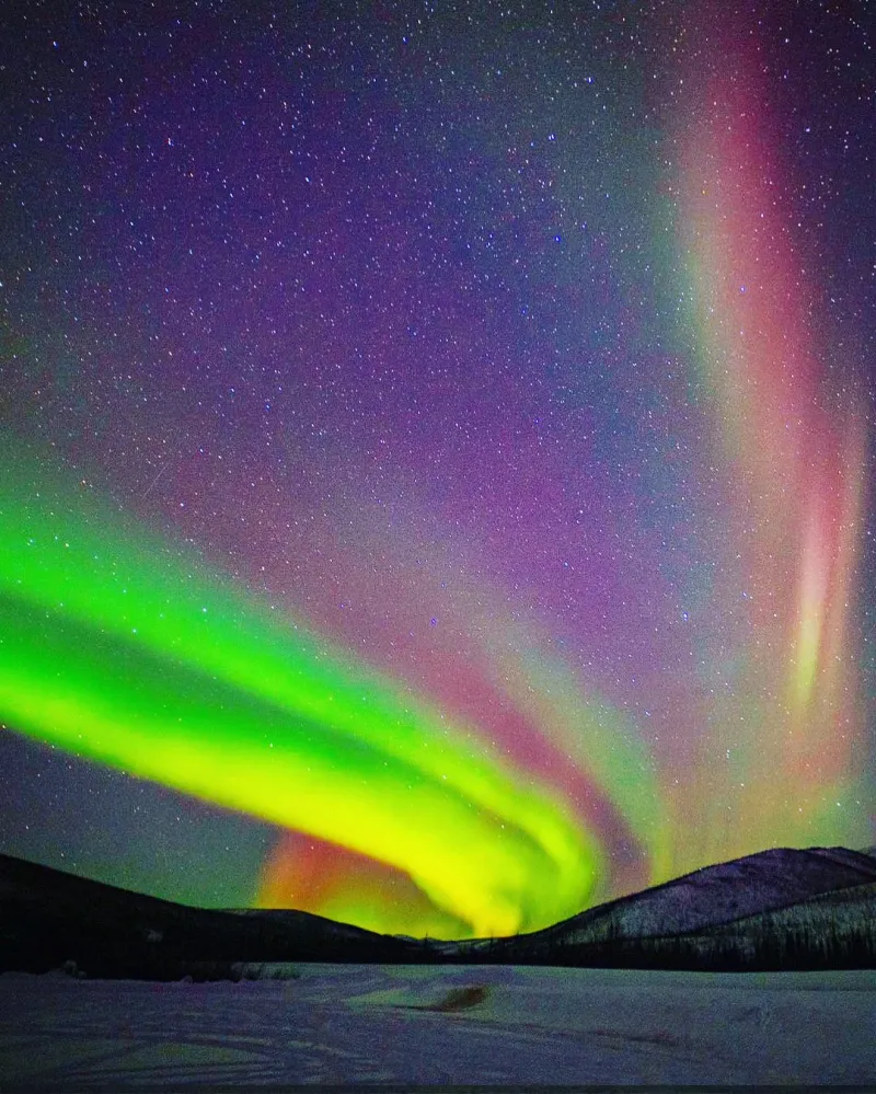Photography Tips for Capturing the Magic
