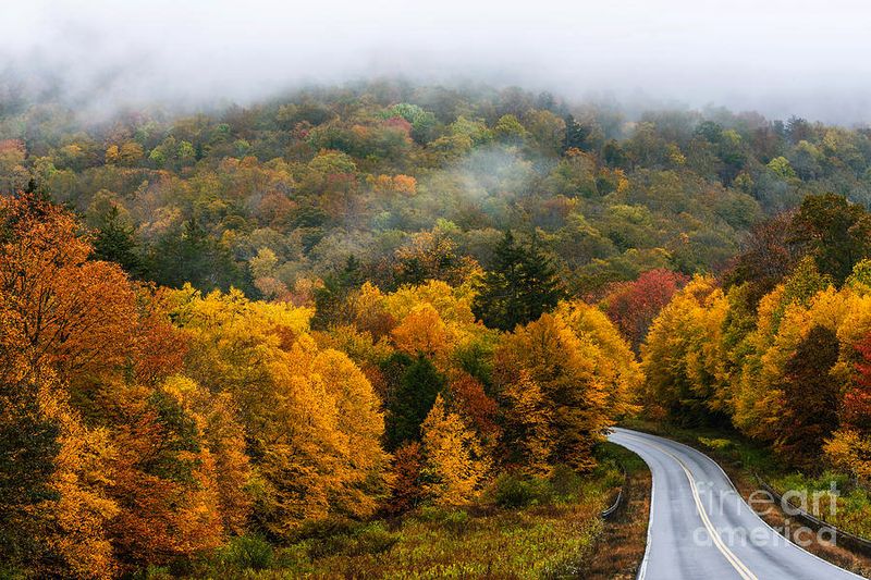 Fall Foliage Heaven