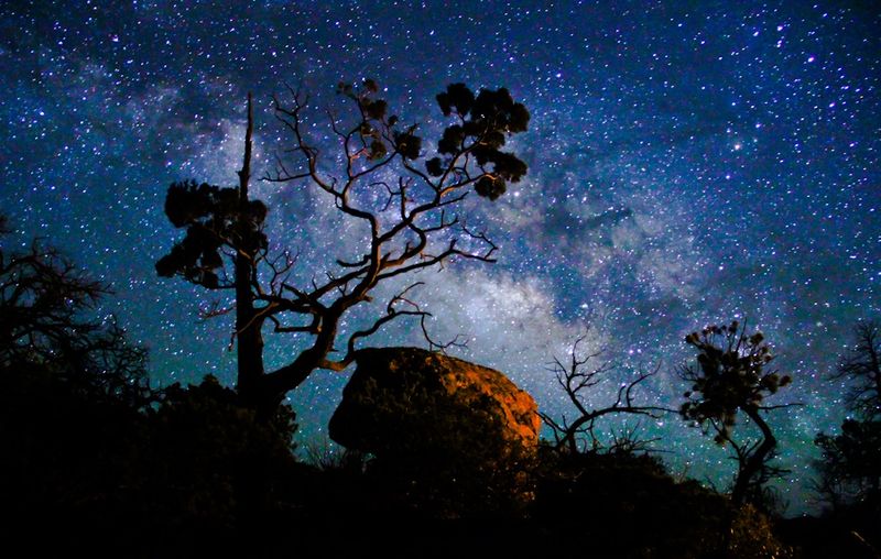 Astronomy Events Under the Stars