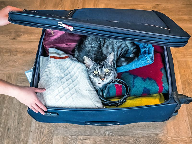 Yes, They'll Judge Your Packing Choices