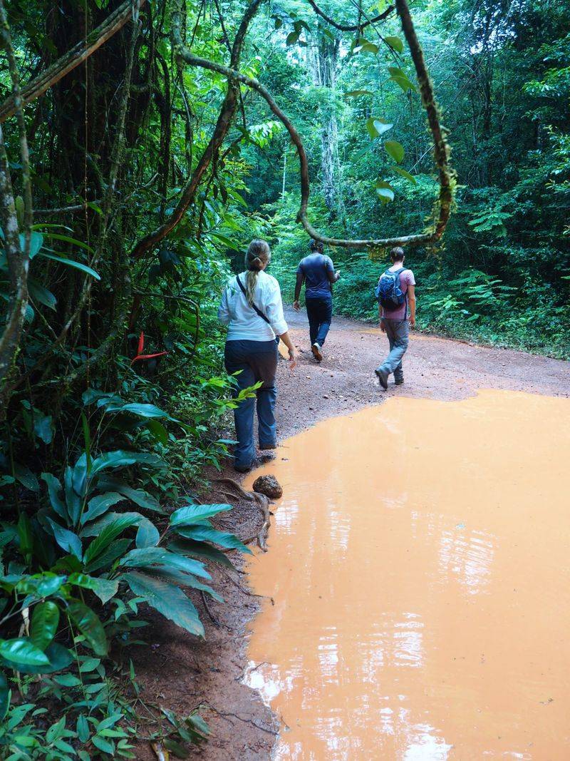 Suriname