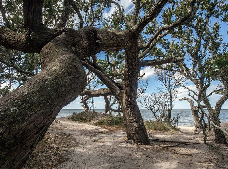 Springer's Point: The Hidden Nature Preserve with Historical Secrets