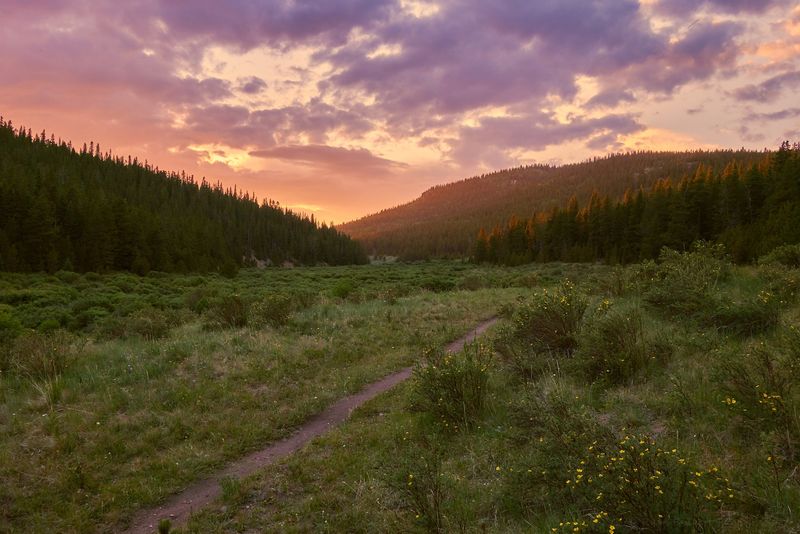 Hike Scenic Trails Through Mountain Meadows