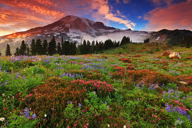 Mount Rainier National Park, Washington – The Crown Jewel