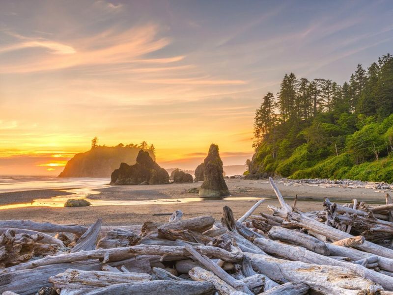 Olympic Peninsula Loop - Washington's Natural Wonder