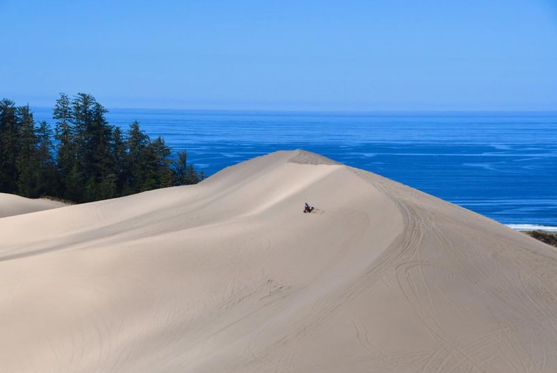 Year-Round Coastal Adventure Hub