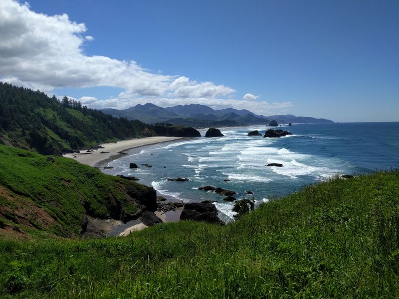 Stunning Ocean Views – The park offers breathtaking vistas of the Pacific Ocean, with waves crashing against dramatic cliffs