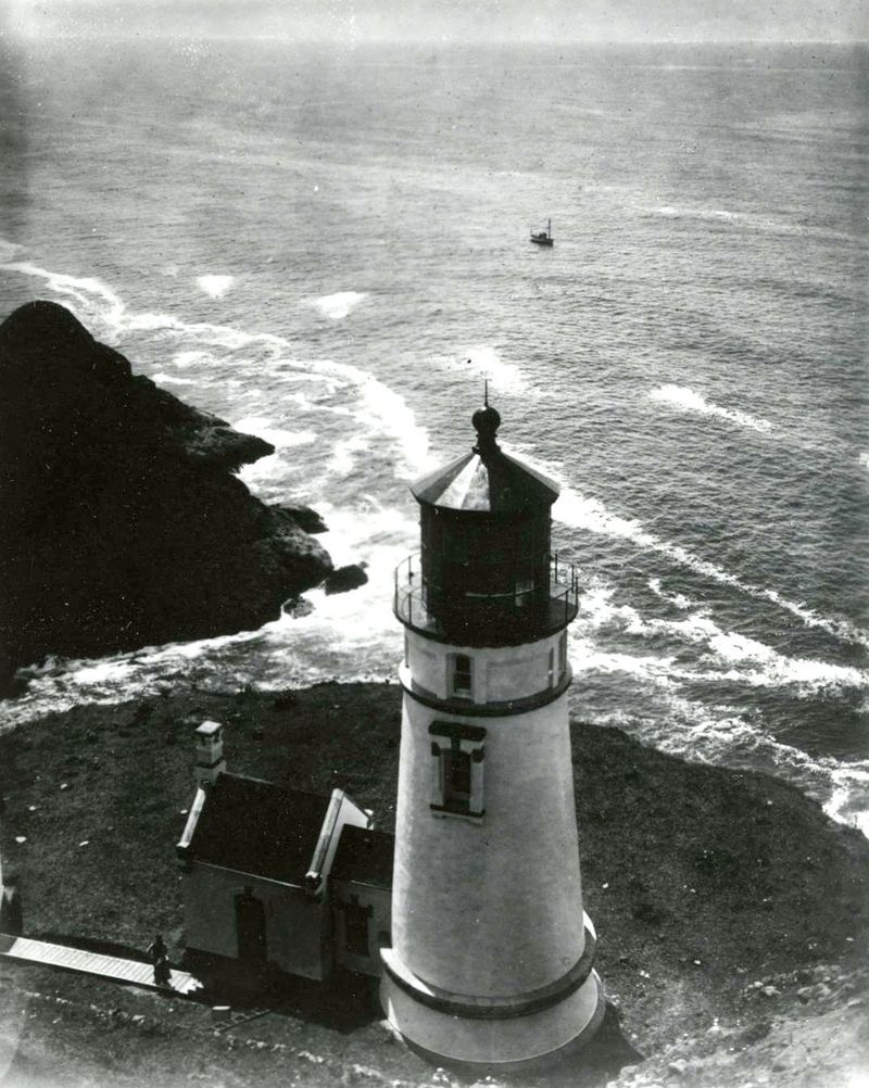 Rue—The Gray Lady of Heceta Head