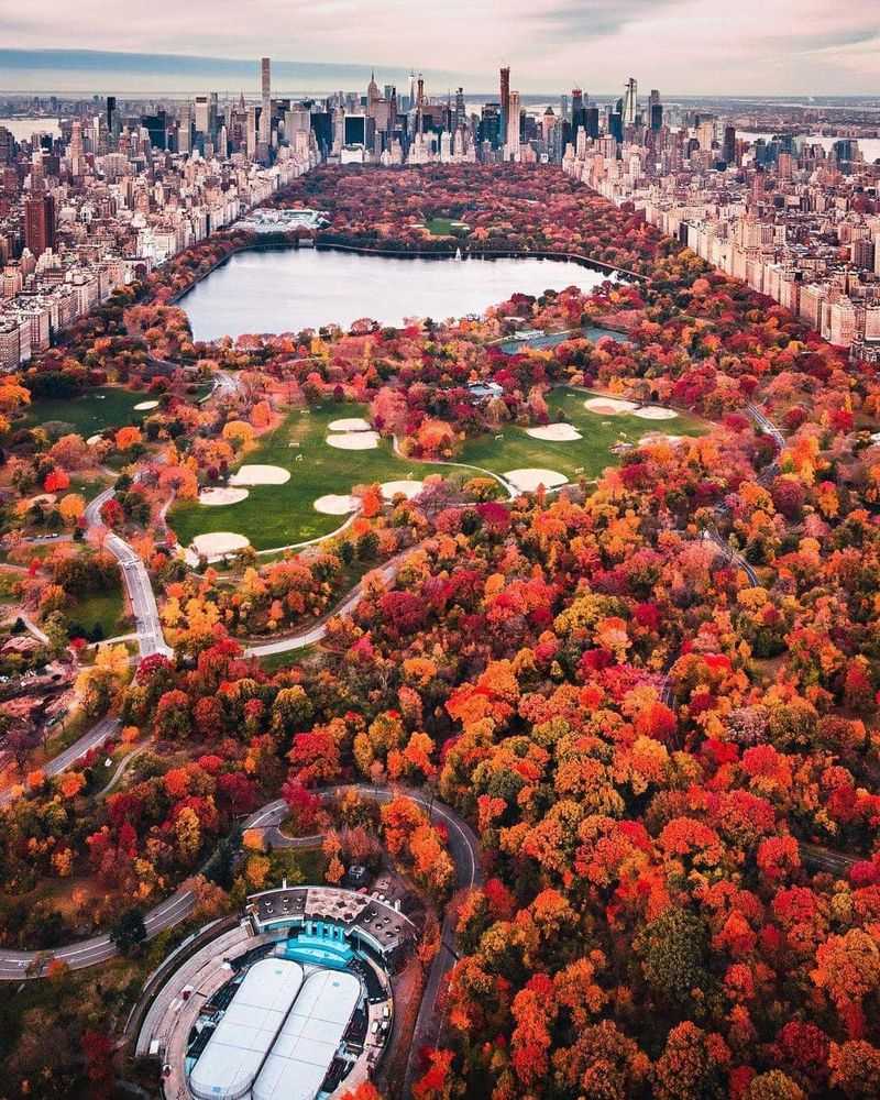 New York, New York