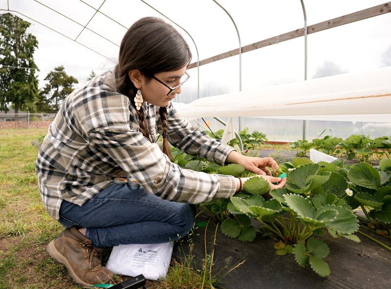 Experience Agricultural Heritage on Farm Tours