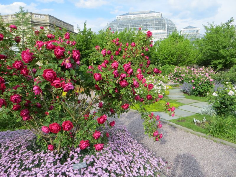 The National Garden