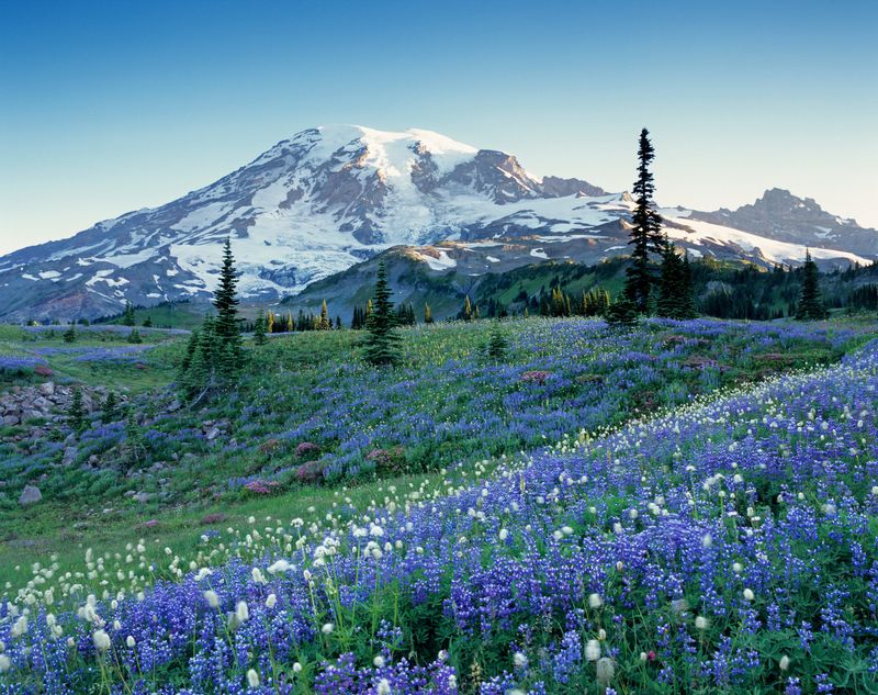 Mount Rainier Paradise Road