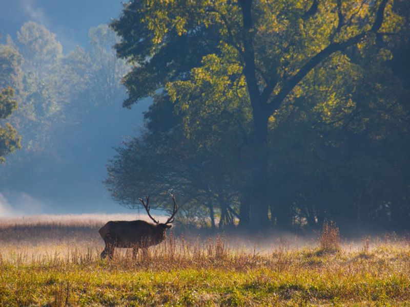 Cataloochee Valley, Great Smoky Mountains National Park