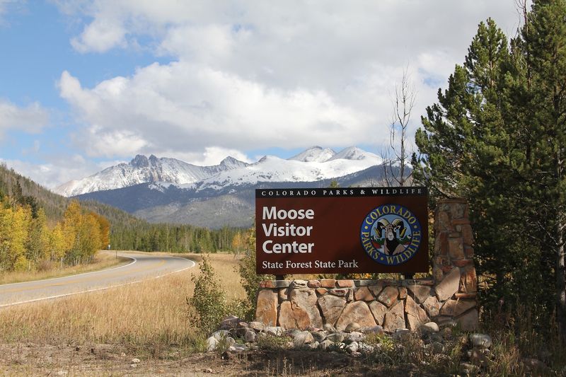 Walden: Moose Capital and Wilderness Gateway