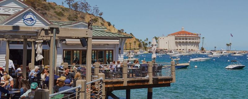 Bluewater Grill: Catalina Island Harbor Views