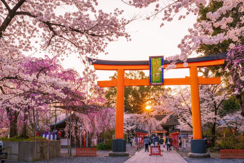 Kyoto, Japan (During Cherry Blossom Season)