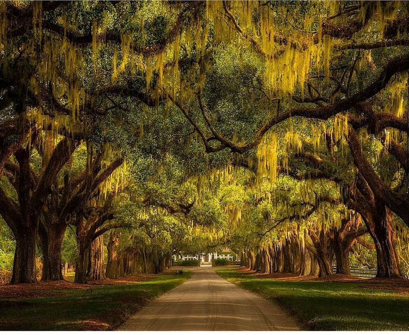 St. Simons Island, Georgia: Where History Meets Coastal Serenity