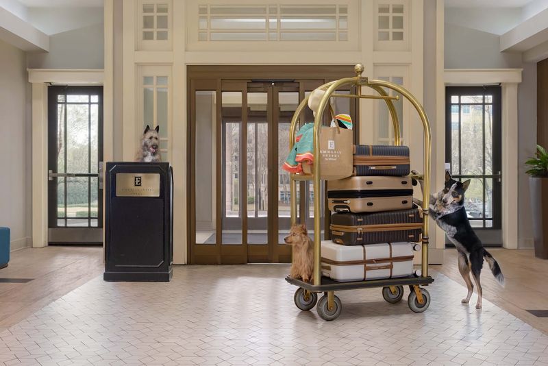 Book Pet-Friendly Accommodations in Advance