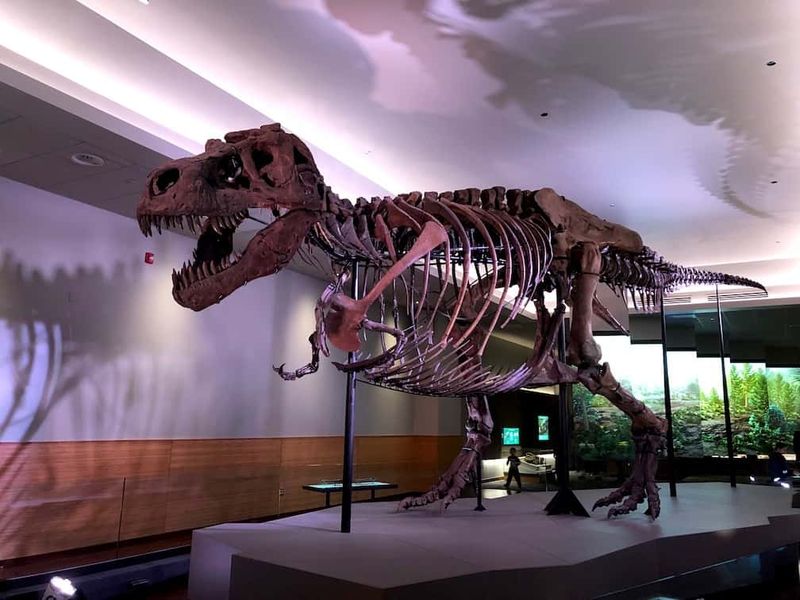 Field Museum