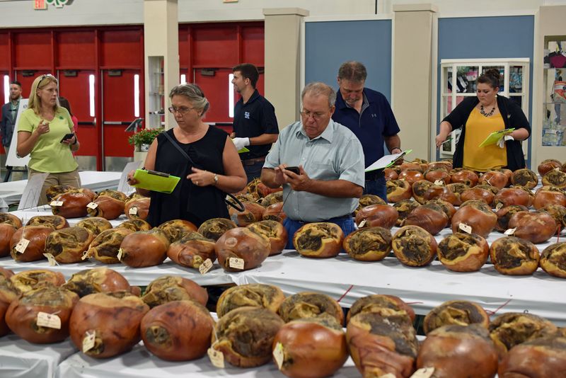 Scott Hams, Gatton Farms, Meacham & Others
