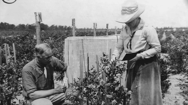 A Century-Old Berry Legacy Started With Two Visionaries