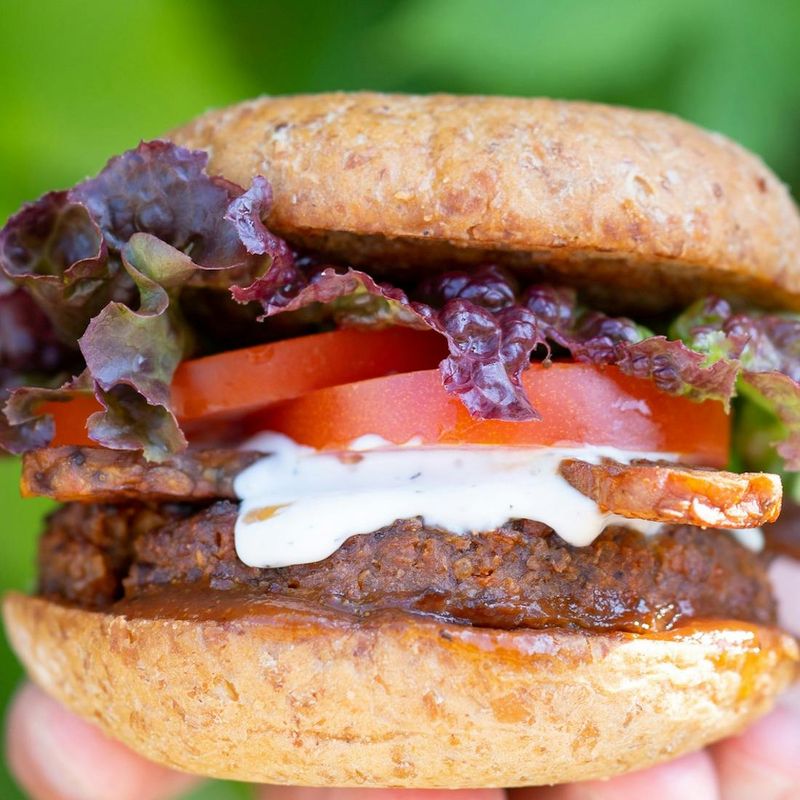 Next Level Burger - Plant-Based Patty Perfection