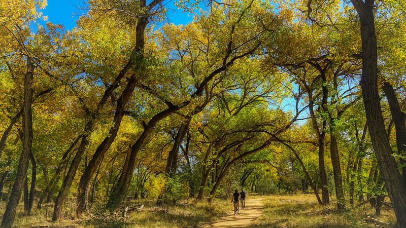 Paseo del Bosque Trail