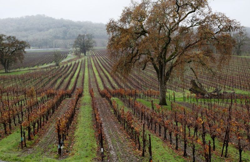 Hopland (Mendocino County)