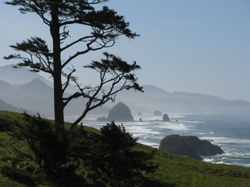 Lewis & Clark Expedition History – Part of the explorers' route in 1806 while searching for a beached whale