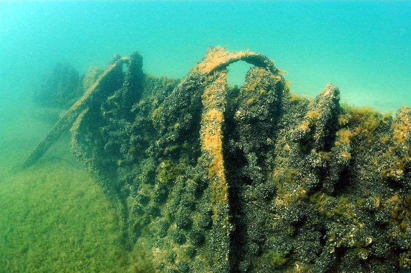 The Australasia Beneath the Sand
