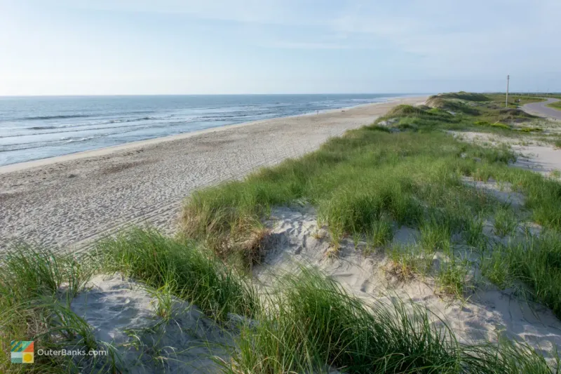 Conservation and Responsible Shelling: Preserving Paradise