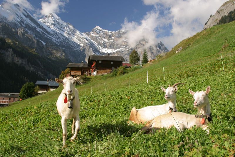 Gimmelwald, Switzerland