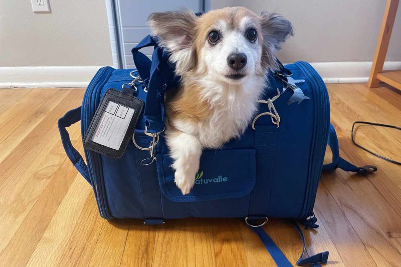 Master Air Travel Requirements and Procedures