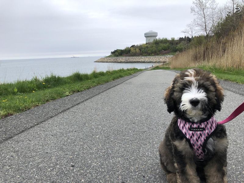 Deer Island Harborwalk, Winthrop