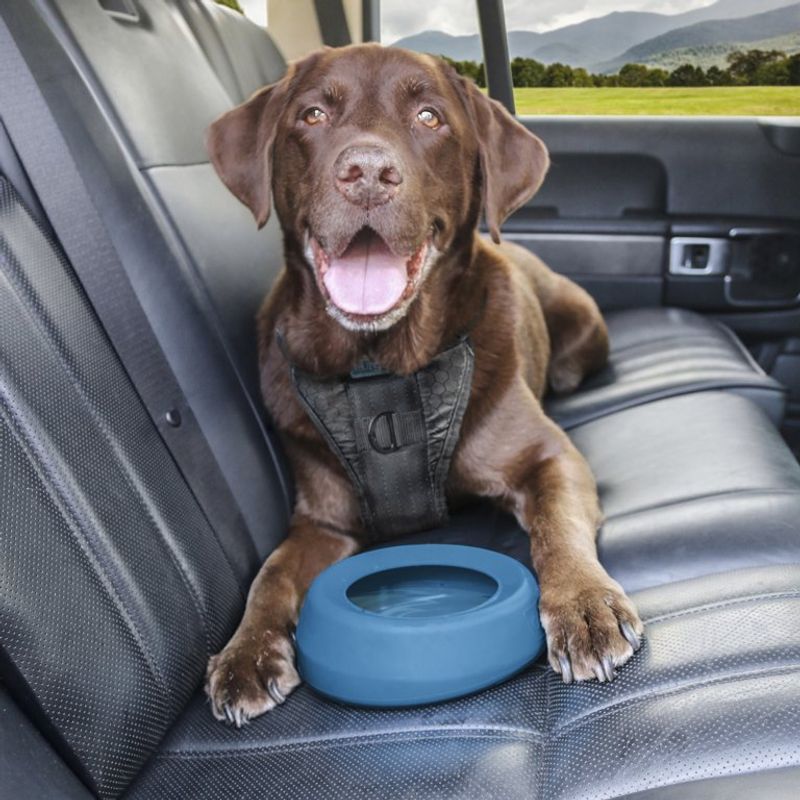 No-Spill Travel Bowl