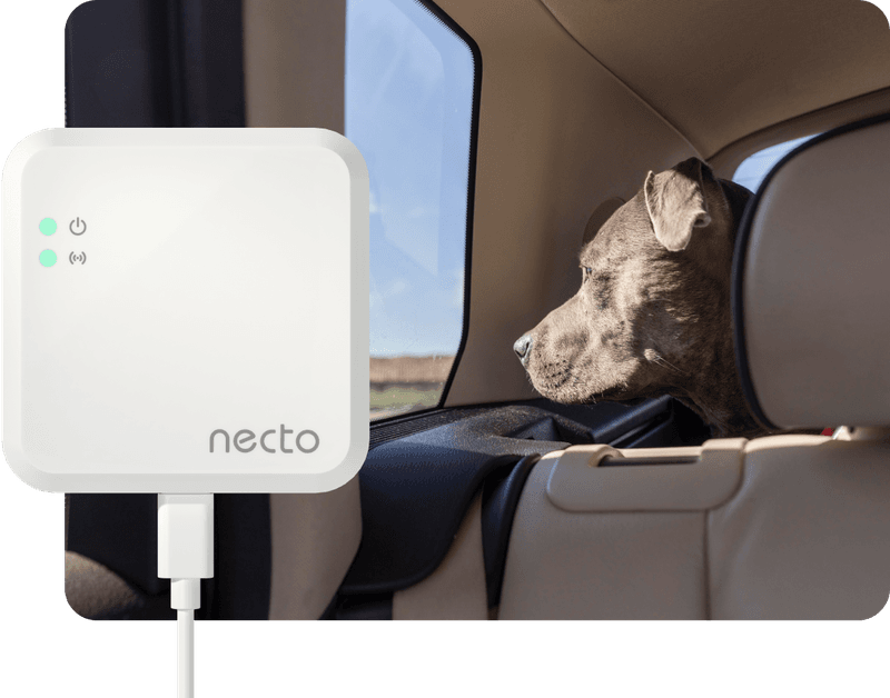 Temperature Monitoring System