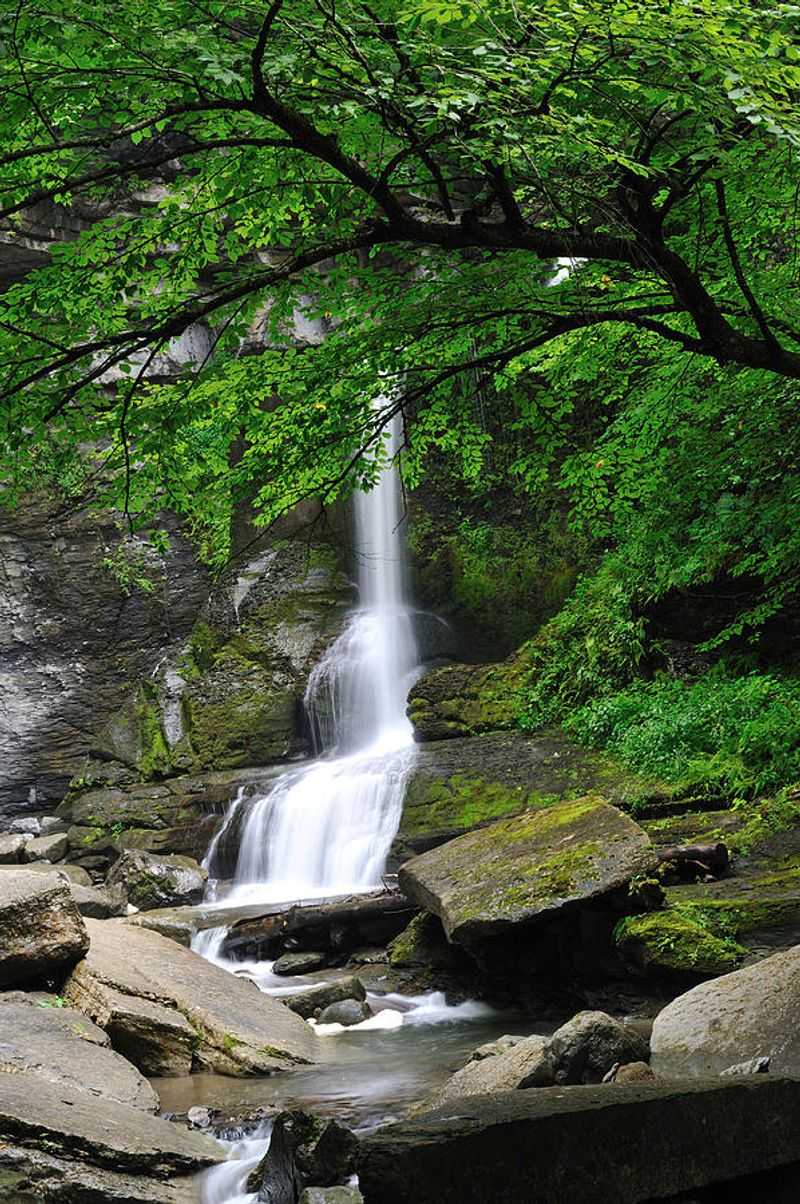 Fillmore Glen State Park — Moravia (≈35–40 min)