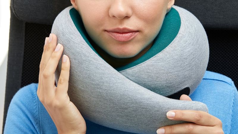 The World's Best Travel Pillow