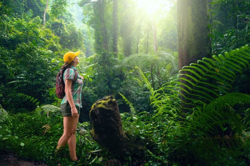Prioritize Environmental Responsibility Through Conscious Choices