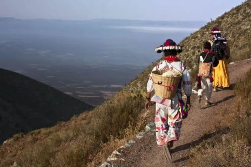 Wixarika Route to Wirikuta, Mexico