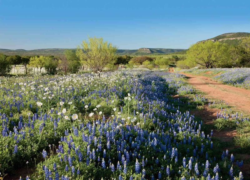 A Local Garden, Not a Tourist Trap