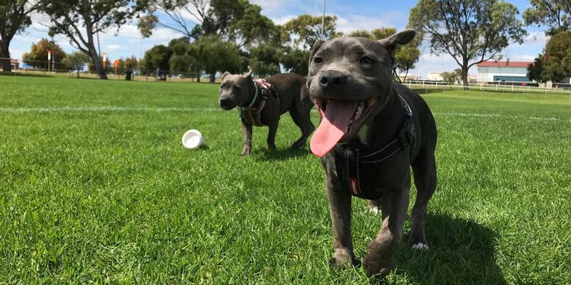 Plan Regular Rest Stops and Exercise Breaks