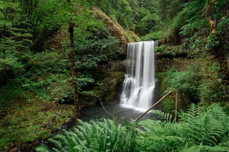 Silver Falls State Park, Oregon