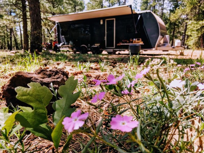 Schnebly Hill Road Camp Areas