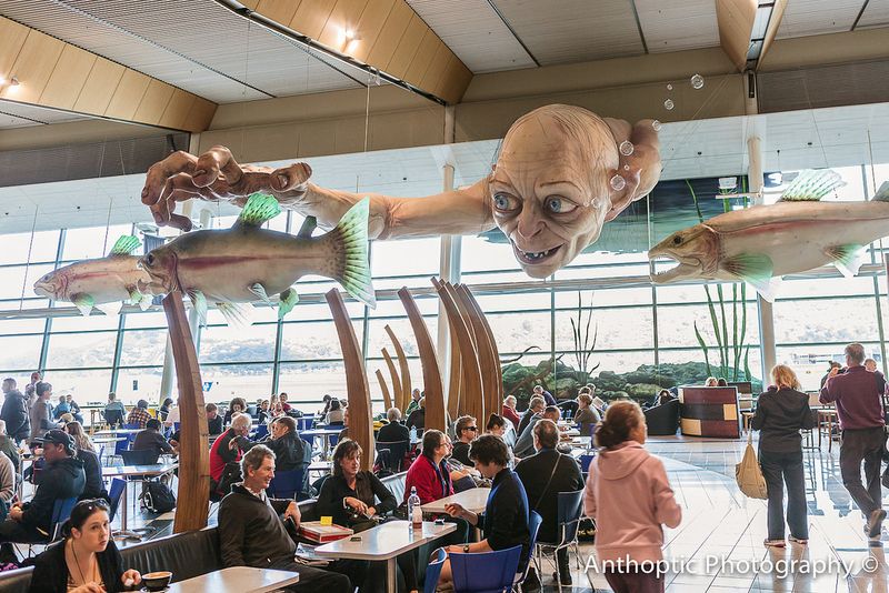 Wellington International Airport (WLG), New Zealand