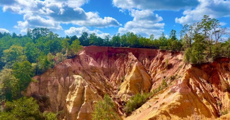 Rare Loess Bluff Landscape