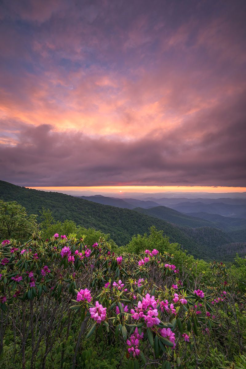 Craggy Gardens / Craggy Pinnacle