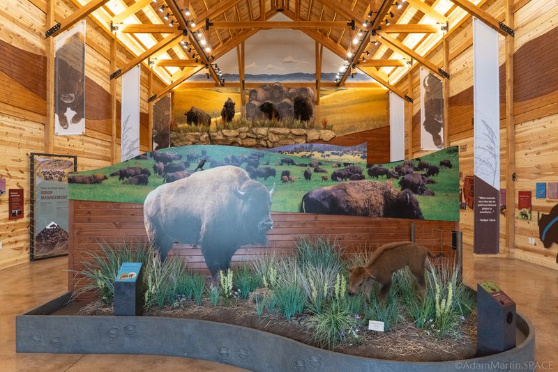 Learning at the Bison Center