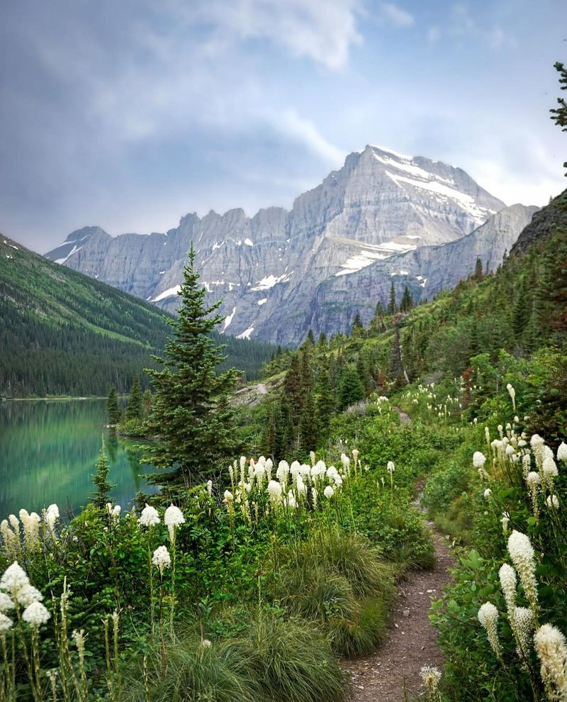 Diverse Ecosystems